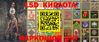 стафф Дубна