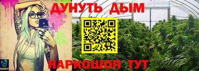 стафф Дубна