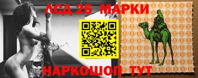 стафф Дубна