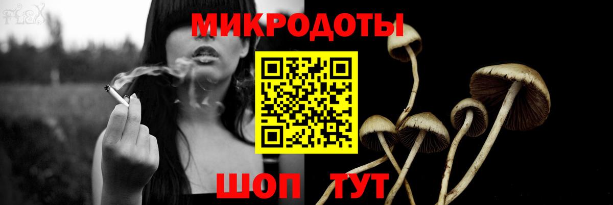 Псилоцибиновые грибы Cubensis Челябинск